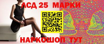 СК Будённовск