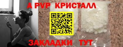 СК Будённовск