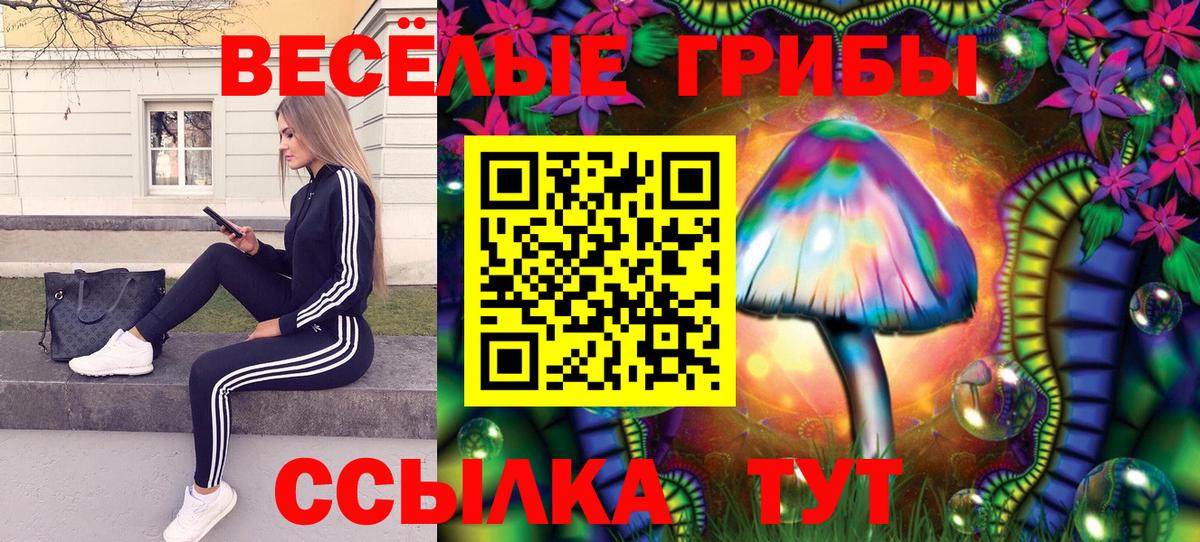 Псилоцибиновые грибы Cubensis Аша