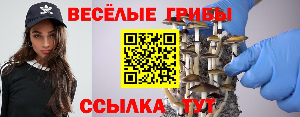 Галлюциногенные грибы прущие грибы  Галлюциногенные грибы Psilocybe  купить закладку  Вход с VPN  Аша 